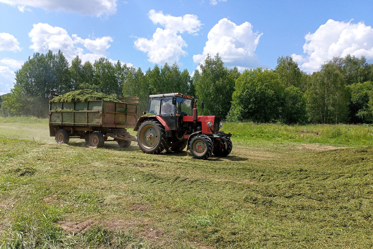 В Костромской области завершается кормозаготовка