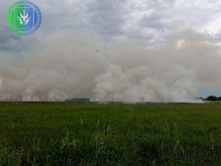 В Шурышкарском районе осталось потушить один лесной пожар