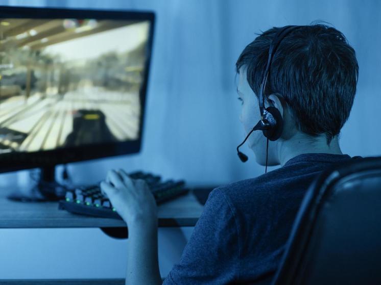 Сахалинец обокрал геймера, пока тот был увлечен игрой