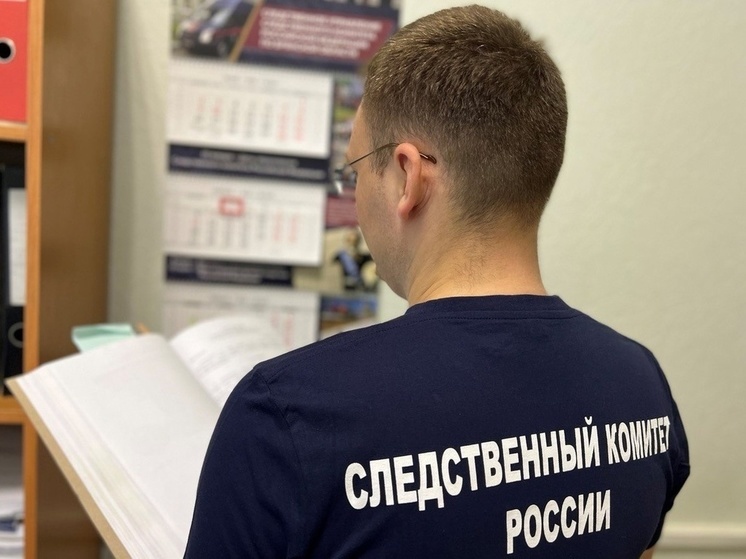 За присвоении премий осудили экс-чиновницу из брянских Клинцов