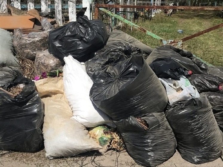 В Новосибирской области ликвидировали незаконную свалку бытовых отходов