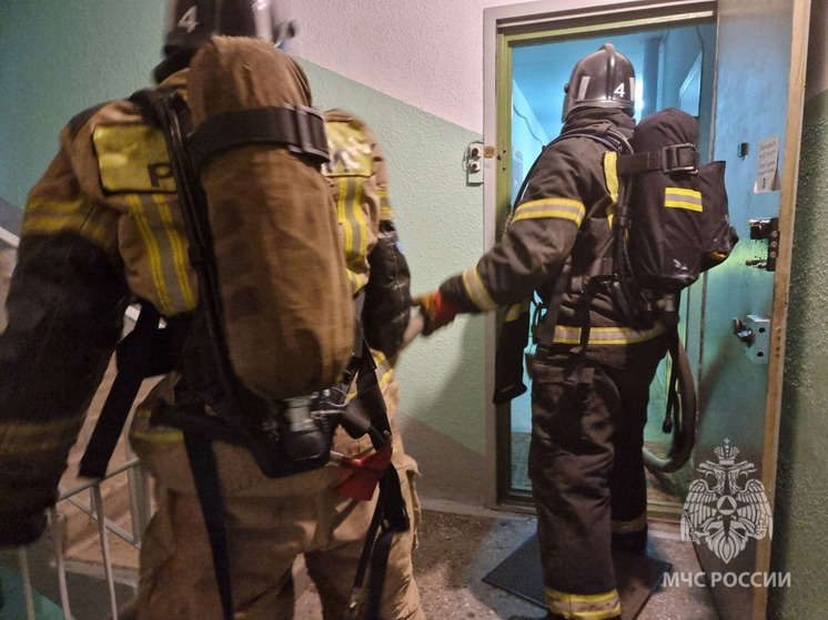 Пожар в жилом доме Мурманска тушили девять человек