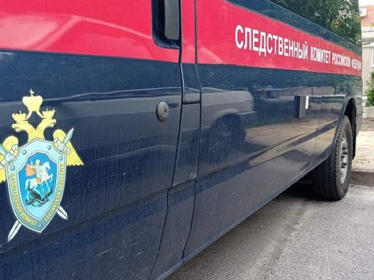 В Белгородской области арестовали руководителей «БИК-Сити» по делу о хищении бюджетных денег