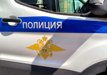 В Новгородской области найдена авиабомба весом 250 кг времен ВОВ