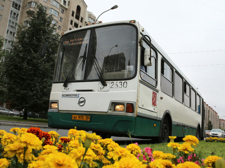 В Калининграде ужесточат требования к кондиционерам в общественном транспорте