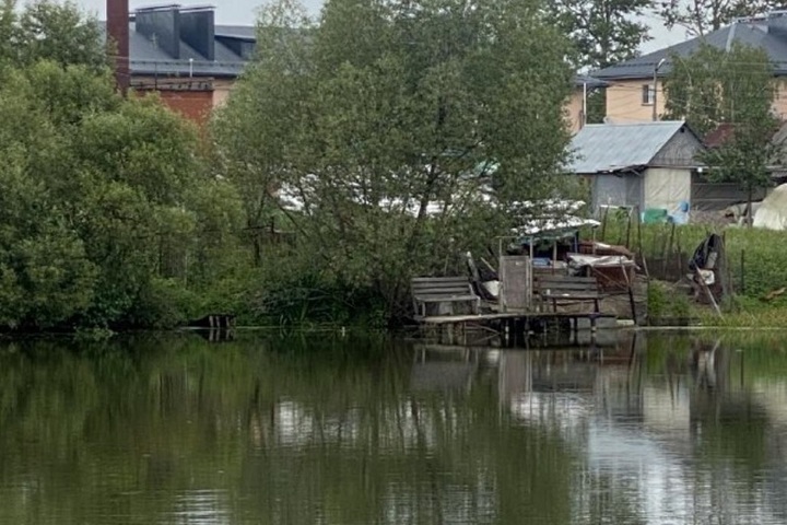 Жители Домодедово незаконно захватили прибрежную зону реки Злодейки