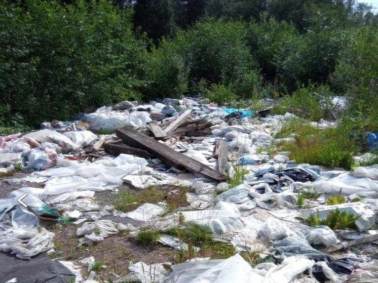 Свалку строительного мусора нашли рядом с туристическим городом Карелии