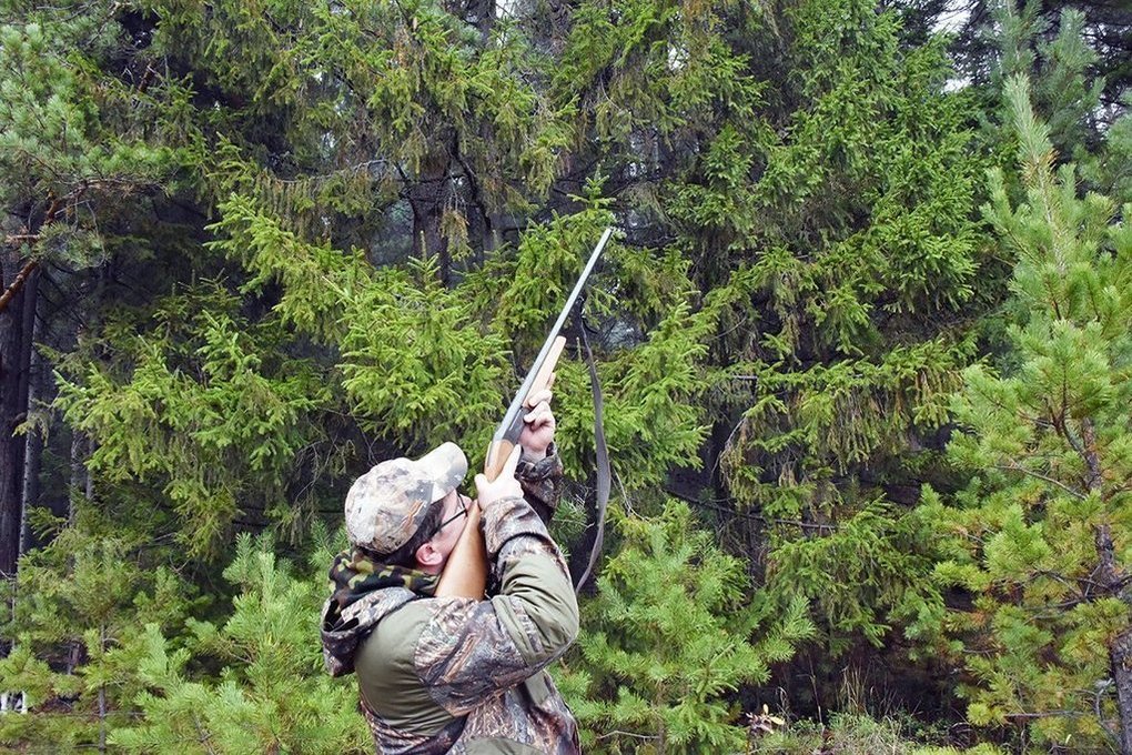 В угодьях двух районов Костромской области до конца года введен запрет на охоту
