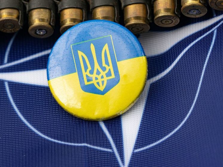 В НАТО допустили членство Украины в альянсе после территориальных уступок
