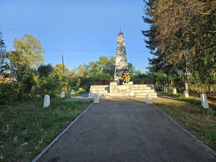 Дождевой сад из растений появится в поселке Гнилицы в Нижнем Новгороде