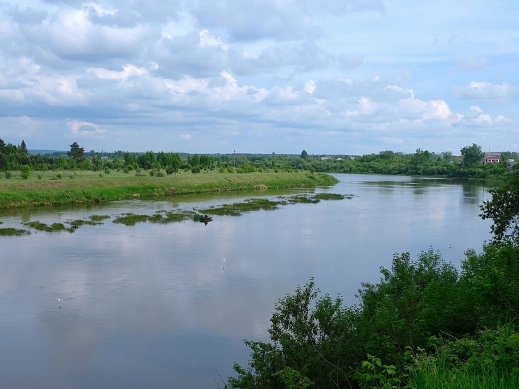 Река Чепца в Удмуртии обмелела