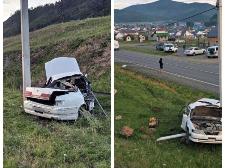 Девушка из Новосибирска погибла при наезде авто на линию электропередач на Алтае