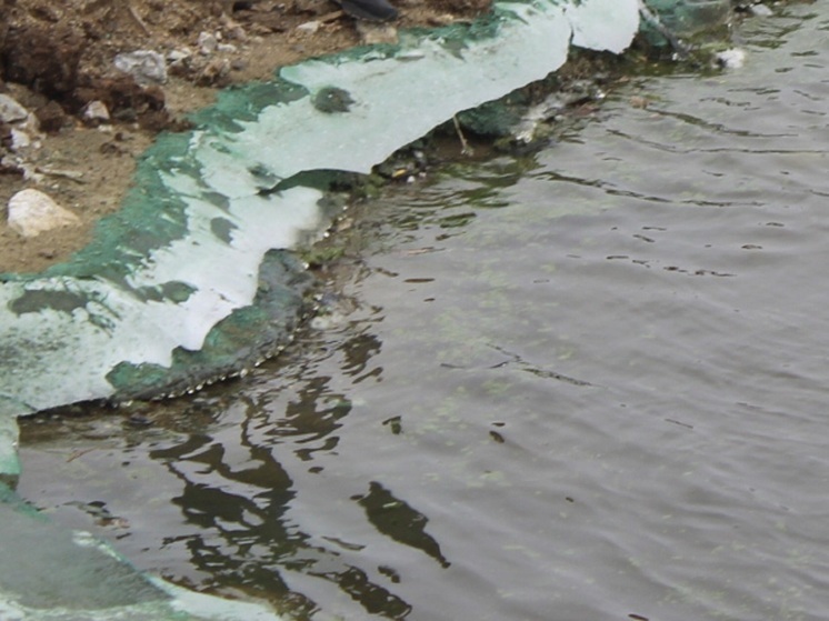 Жидкие отходы текут из емкостей, обнаруженных в лесу в Первоуральске