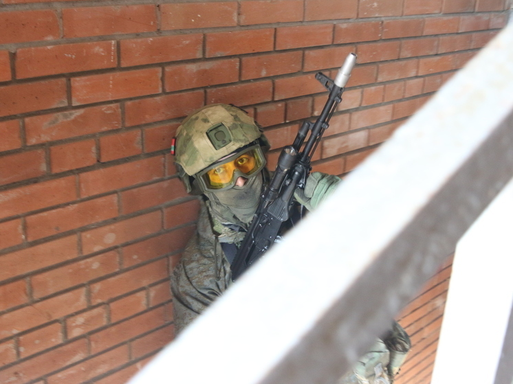 Пограничники вступили в бой с украинскими диверсантами в Брянской области