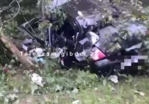 Серьезная авария произошла в Шебекинском городском округе 15 августа