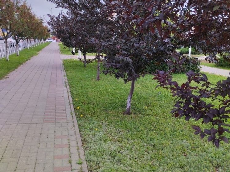 Жители Докучаевска отпраздновали День города Суздаля