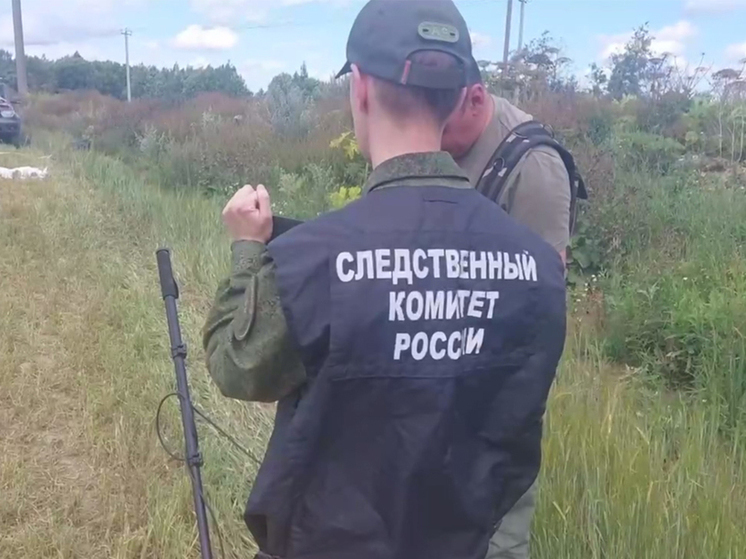 Расстреляны или умерли от голода: в Волосовском районе нашли массовое захоронение времен ВОВ