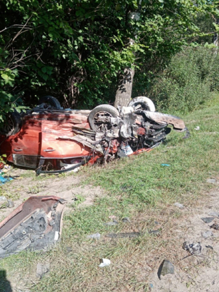 Семь человек пострадали в массовом серьезном ДТП в Тверской области