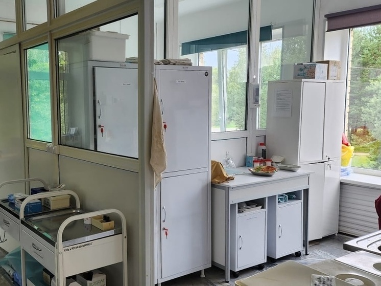 Минздрав Карелии сделал подарок Питкяранте на День республики