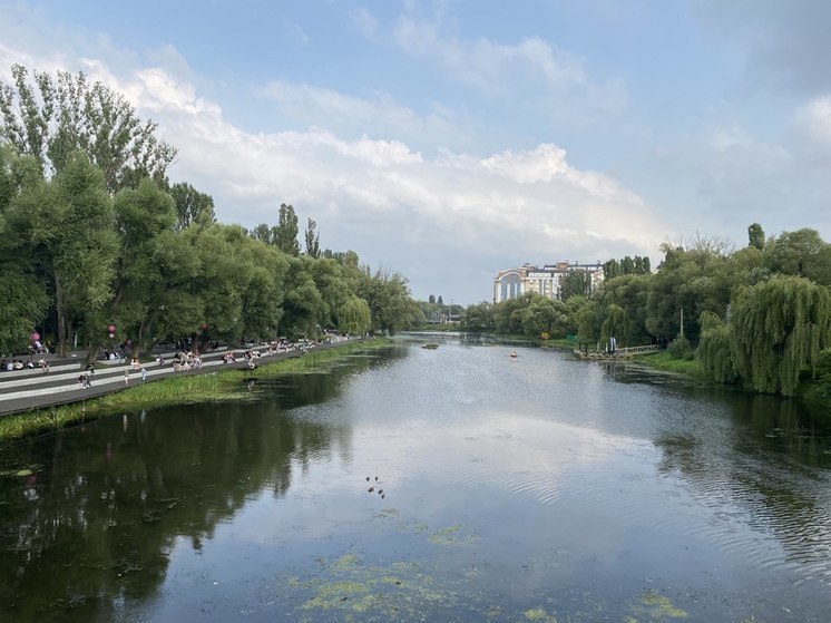 На набережной Везелки жители Белгорода прослушают лекцию об умном озеленении