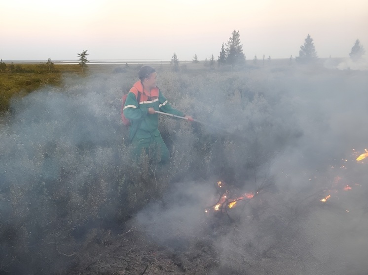 Сложный пожар в Панаевской тундре локализовали