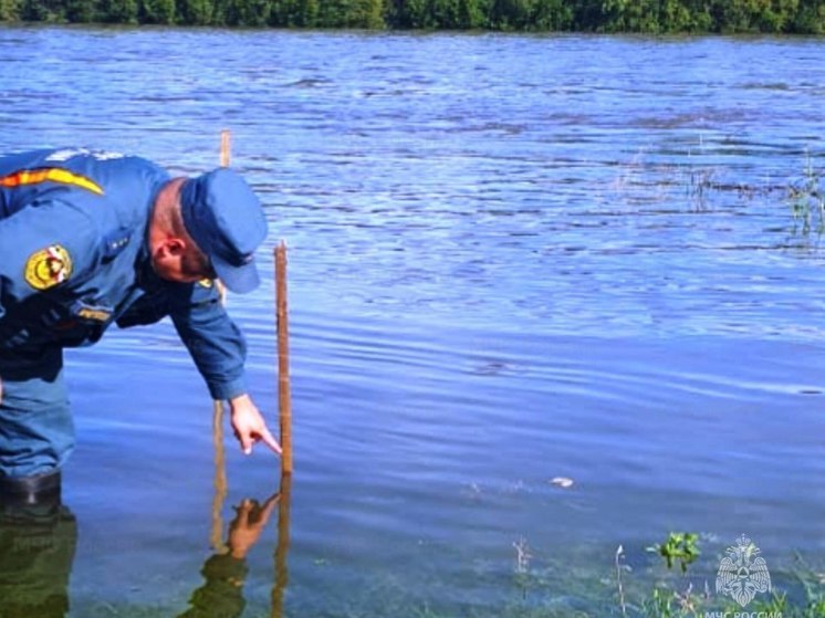 Уровень воды в Иркуте поднялся до 346 сантиметров