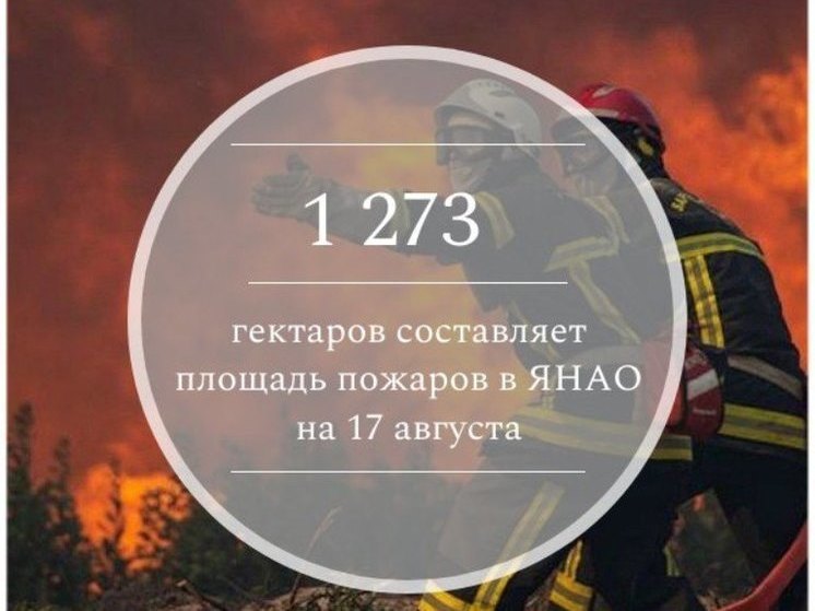 На Ямале снова сократилась площадь лесных пожаров