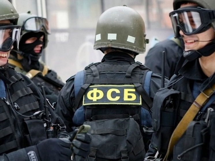 В Новосибирске двоих подростков отправили в колонию за подготовку теракта