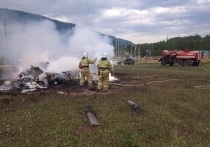 В деле рухнувшего на Алтае вертолета Ми-8 с туристами появились новые подробности