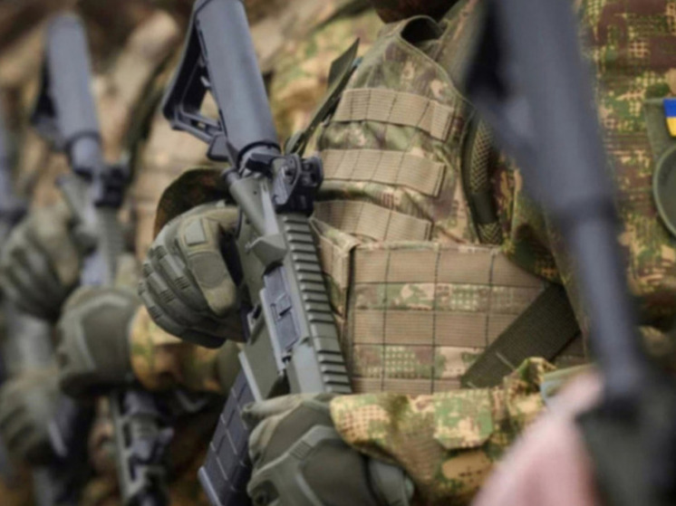 Чернев: на Украине при угрозе «потери государственности» могут объявить мобилизацию всех мужчин