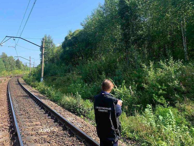 Поезд насмерть сбил пенсионера в Челябинской области