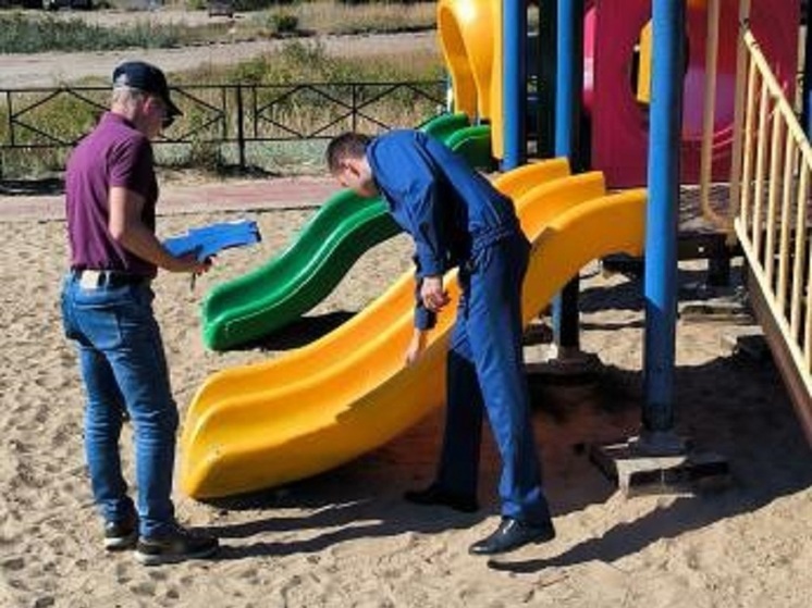 Прокуратура НАО обратила внимание на божью коровку