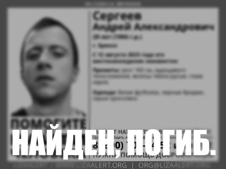 Пропавший в Брянске 29-летний Андрей Сергеев найден погибшим
