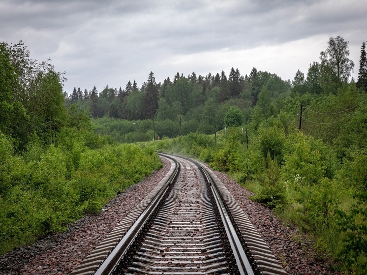 Поезд с пассажирами застрял в лесу Карелии на 3 часа