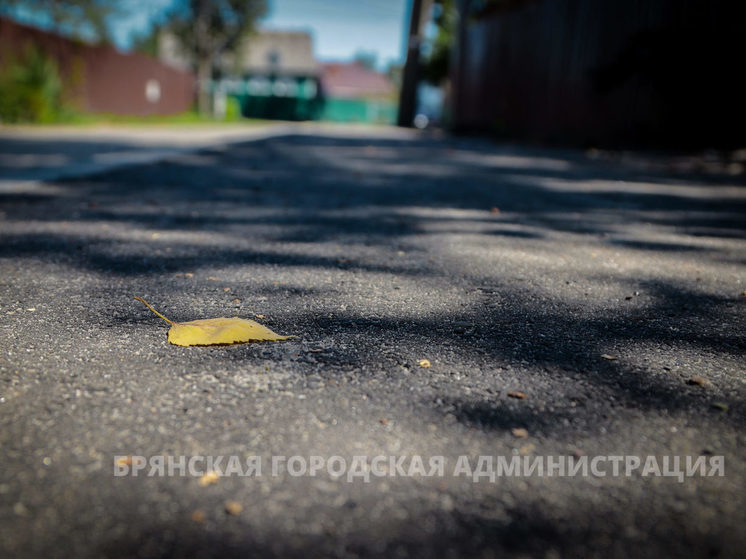 Капремонт улицы Зеленой в Брянске завершен