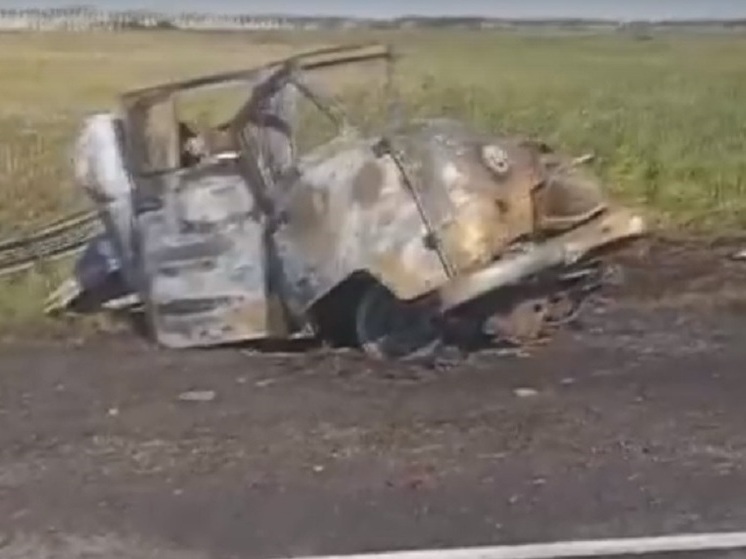 Водитель автомобиля погиб в страшном ДТП на «трассе смерти» в Омской области