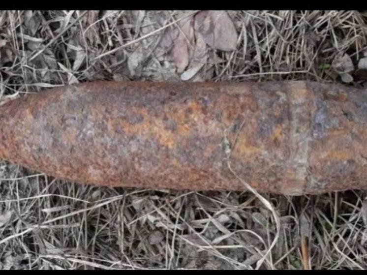Найдены и обезврежены взрывоопасные предметы времён ВОВ