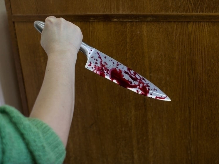 Жительница Петрозаводска со злости три раза ударила ножом в голову свою знакомую