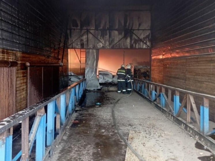 В Приамурье загорелись постройки деревообрабатывающего предприятия