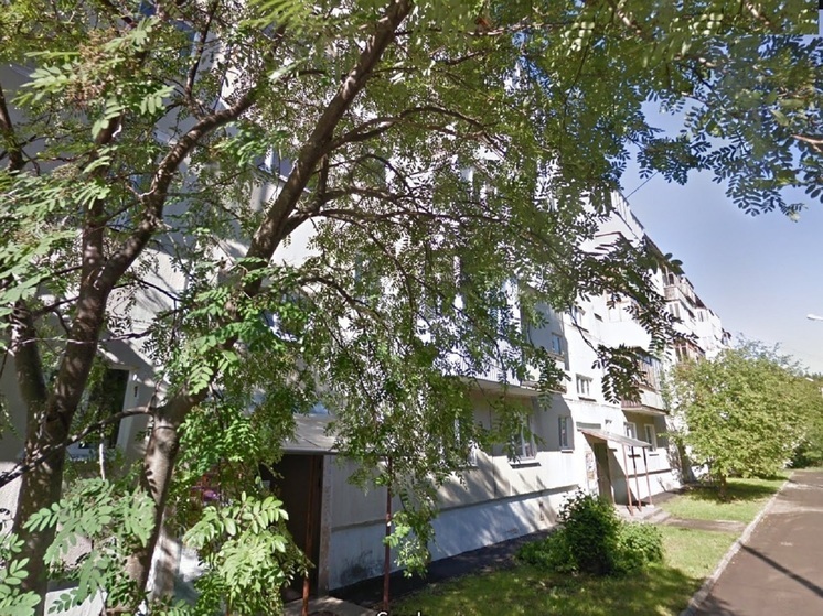 Прохожий в Каменске-Уральском выстрелил в дворника, косившего траву