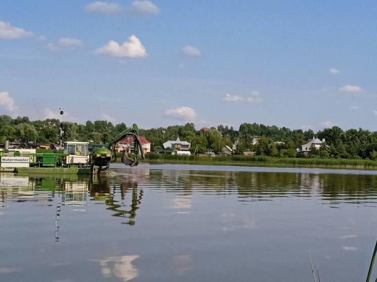 В Костромской области проводят очистку реки Челсма
