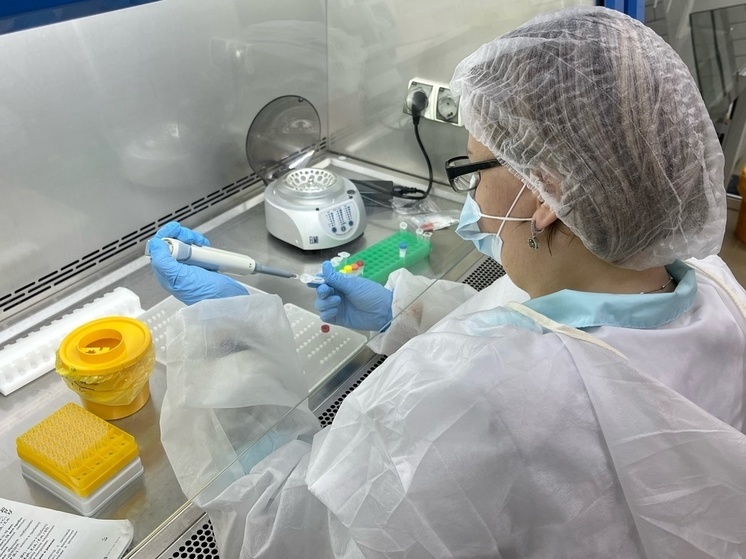 Больница Сортавалы показала реальные цифры пострадавших от укусов клещей в двух районах Карелии