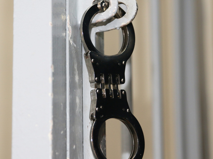 Участнику банды «Северские» вынесли приговор в Подмосковье