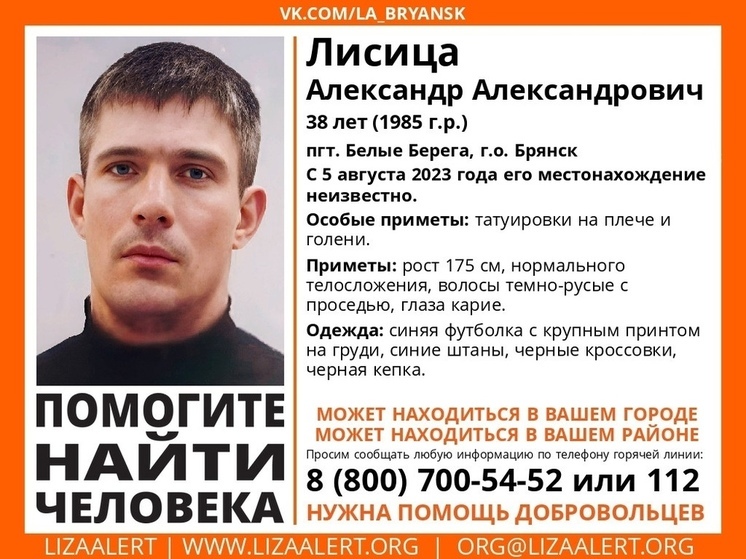 38-летний Александр Лисица пропал в Брянской области