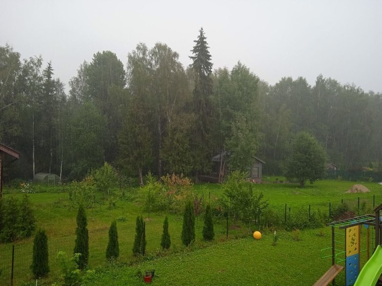 До 15 процентов месячной нормы осадков уже выпало сегодня в Подмосковье