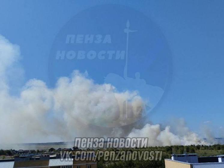 Пензенцы заметили пожар за чертой города