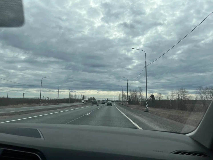 В ДТП с выездом на встречку с начала года погибли девять новгородцев