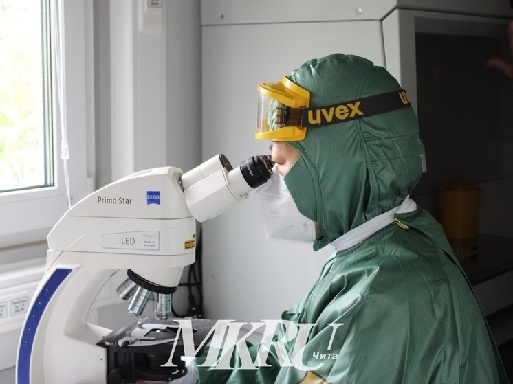 Контроль усилили на МАПП «Забайкальск» из-за вспышки чумы в Китае