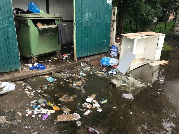 Власти Петрозаводска нашли тех, кто разберется со зловонной помойкой в центре города