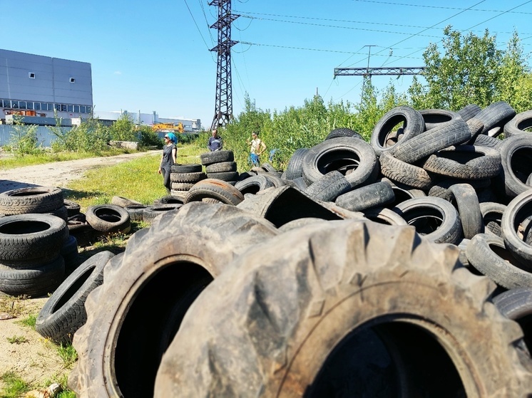 Активисты собрали 15 тонн покрышек в Гатчине и окрестностях